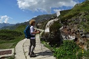 Pizzo Pradella (2626 m) con tanti bei fiori, salito da Valgoglio il 9 luglio 2016 - FOTOGALLERY